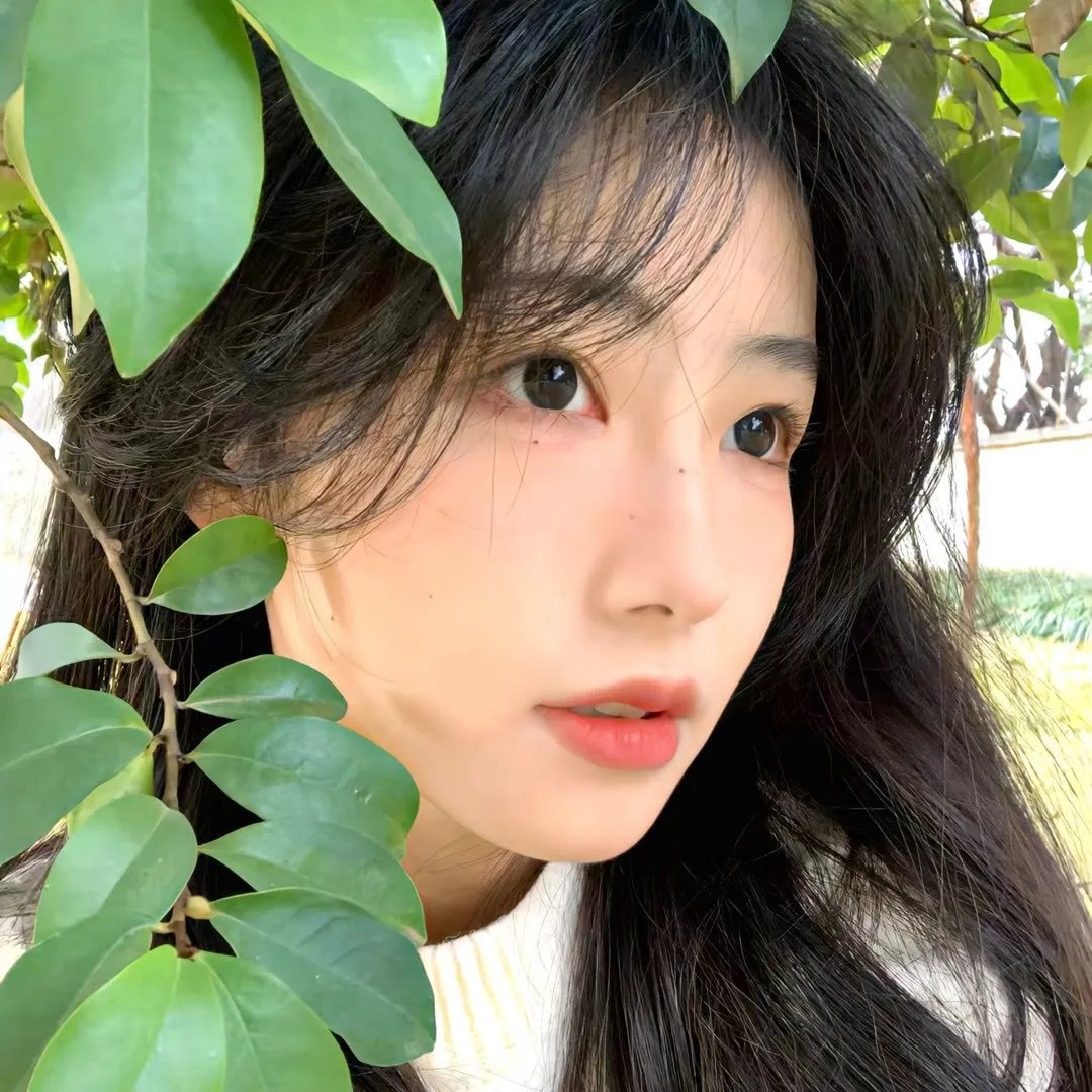极地情天